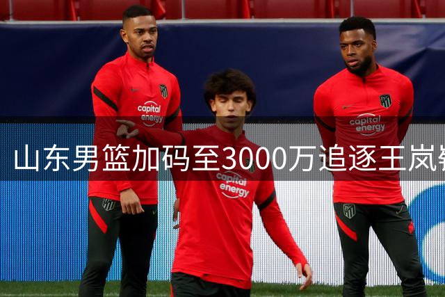 山东男篮加码至3000万追逐王岚嵚，这笔高投资引援逻辑何在？